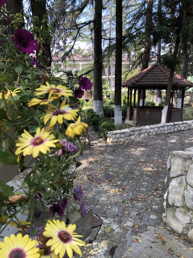 Heliopark Gora Bagrata Hotel Sukhumi Esterno foto