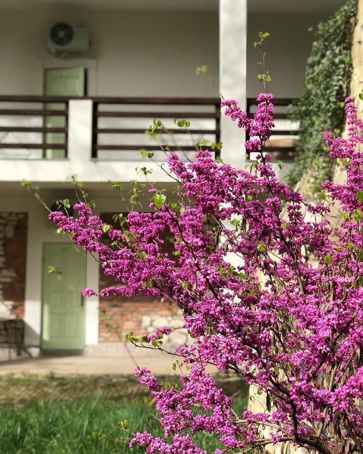 Heliopark Gora Bagrata Hotel Sukhumi Esterno foto